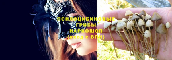 дмт Баксан