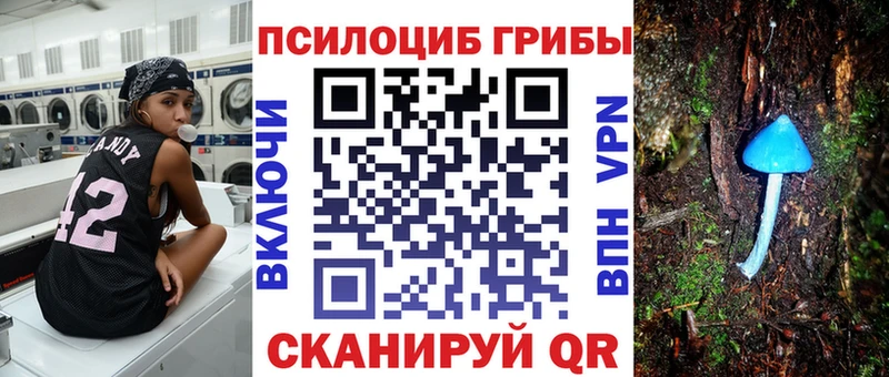 Псилоцибиновые грибы Psilocybine cubensis  маркетплейс формула  Высоковск  купить закладку 